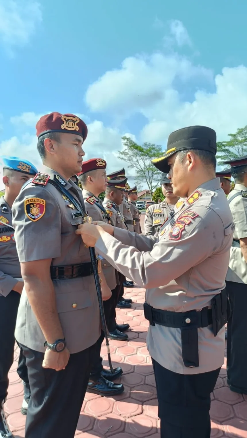 Whatsapp Image 2025 11 02 At 23.56.51