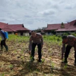 Whatsapp Image 2025 11 12 At 03.36.54