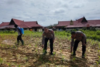 Whatsapp Image 2025 11 12 At 03.36.54