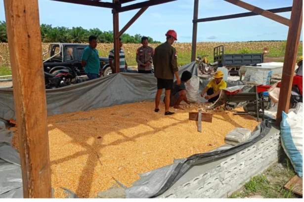 Whatsapp Image 2025 11 26 At 01.10.51