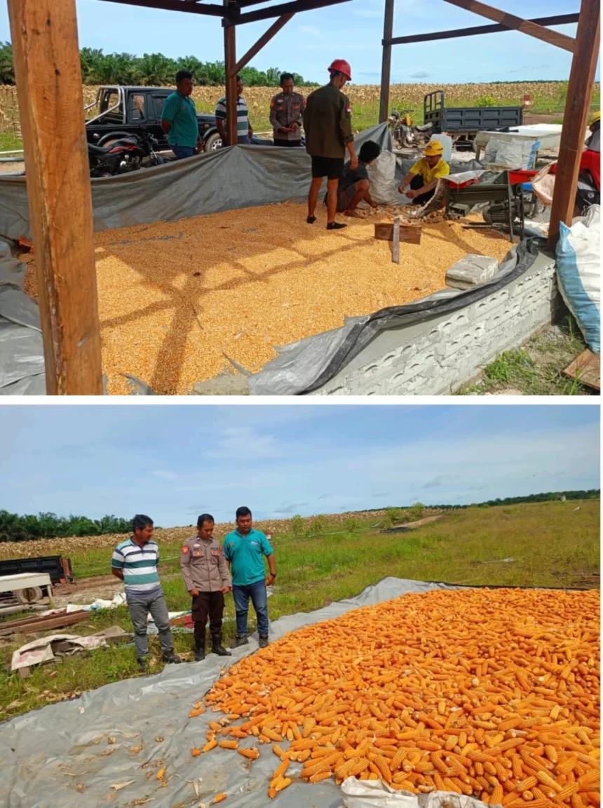 Whatsapp Image 2025 11 26 At 01.10.51