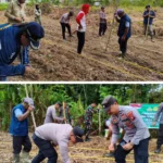 Whatsapp Image 2025 12 09 At 02.02.07