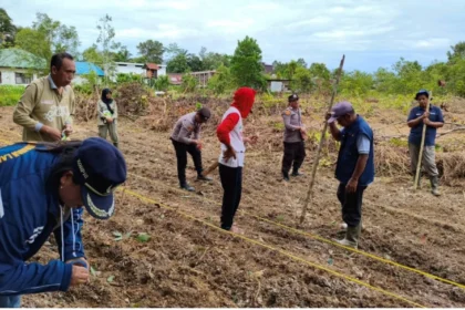 Whatsapp Image 2025 12 09 At 02.02.07