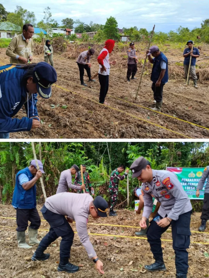 Whatsapp Image 2025 12 09 At 02.02.07