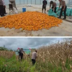 Whatsapp Image 2025 12 10 At 06.06.48