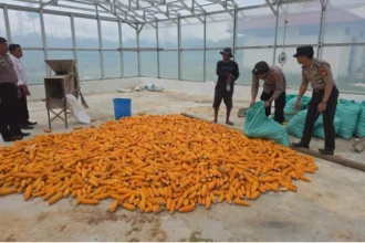 Whatsapp Image 2025 12 10 At 06.06.48