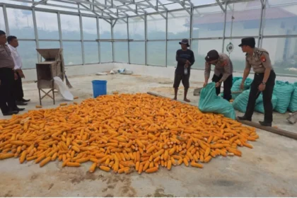 Whatsapp Image 2025 12 10 At 06.06.48