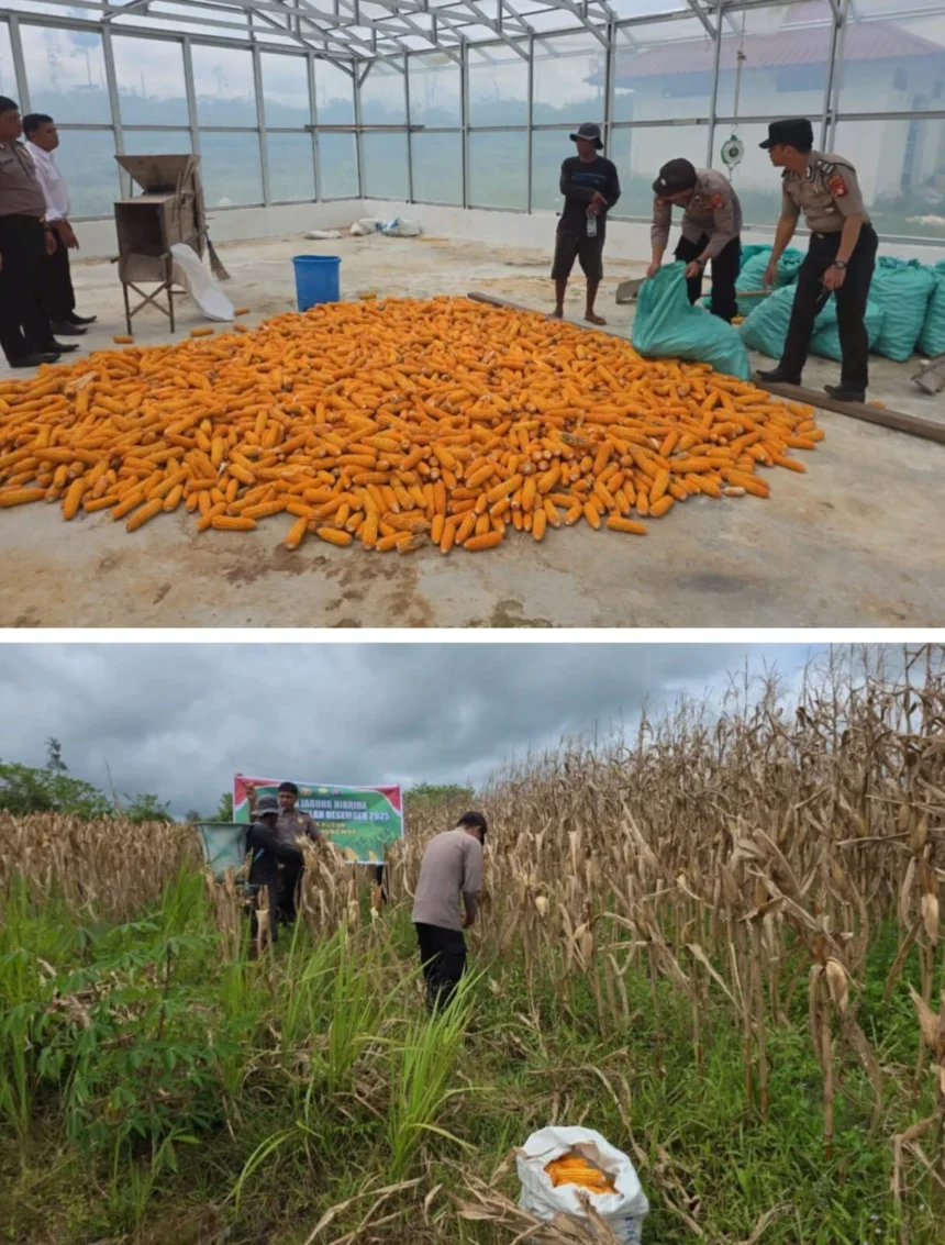 Whatsapp Image 2025 12 10 At 06.06.48