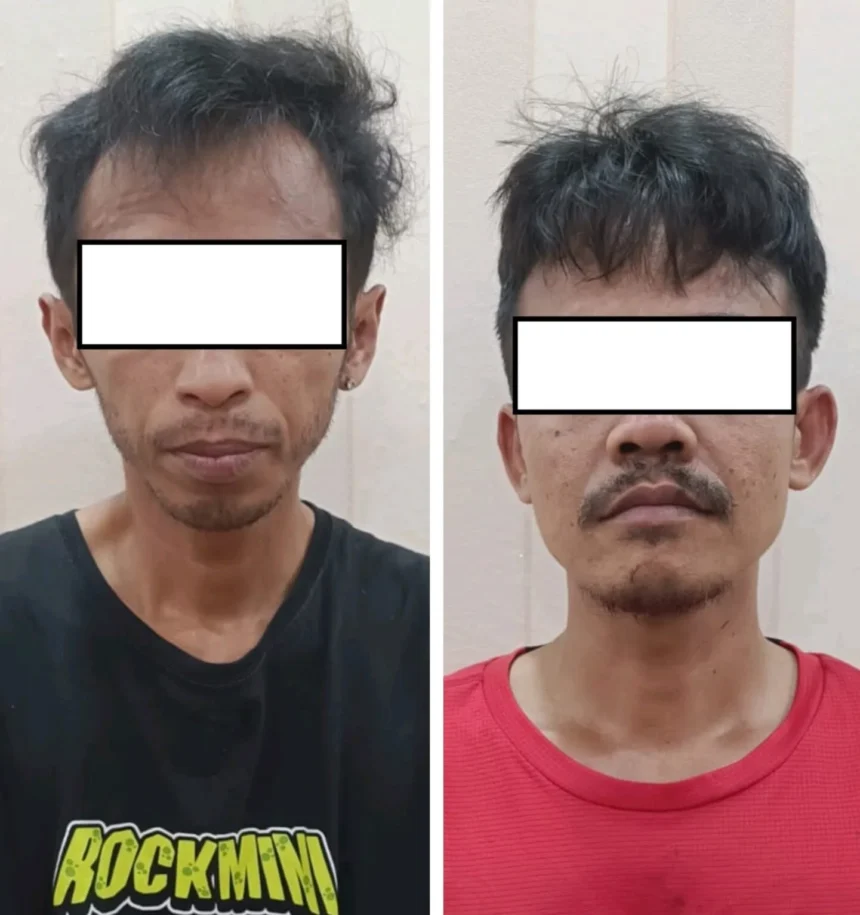 Whatsapp Image 2025 12 10 At 06.09.11