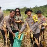 Whatsapp Image 2025 12 22 At 03.38.20