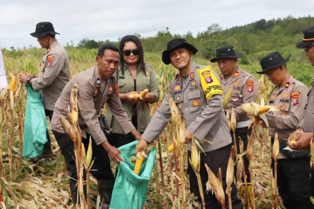 Whatsapp Image 2025 12 22 At 03.38.20